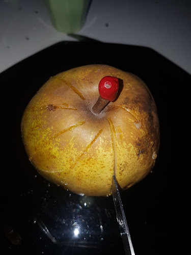 Freakshow - Nu-Bahia