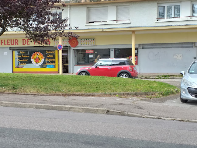 Comentarii opinii despre FLEUR 2 PAINS