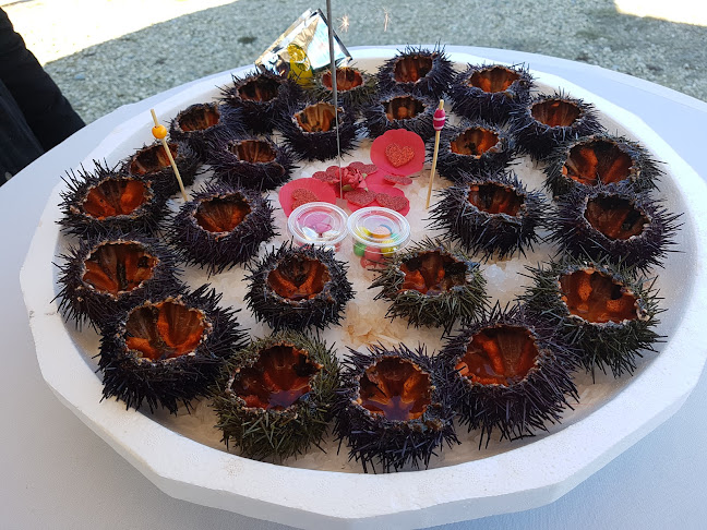 Comentarii opinii despre La Barque