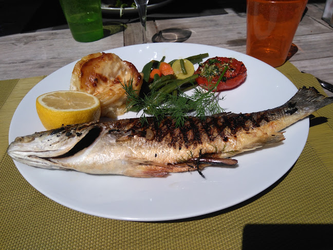 Opinii despre Chez Cane în Nice - Restauration