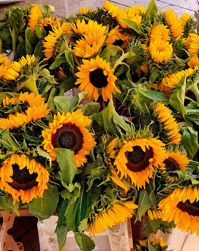 1 Pl. de l'Hôtel de ville, 13100 Aix-en-Provence, France