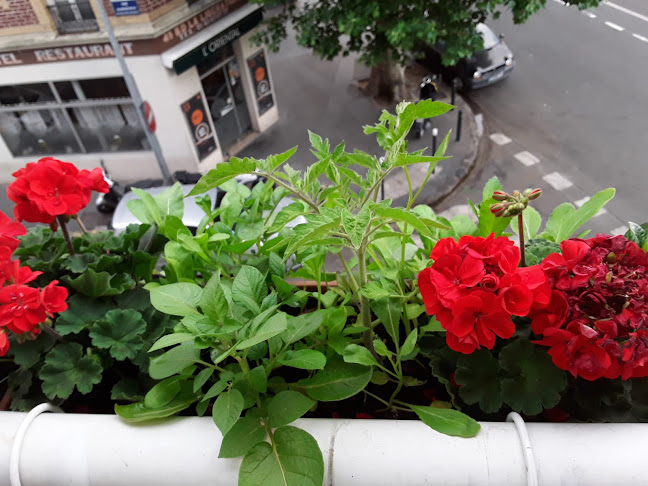 Au rendez-vous Des Chauffeurs - Villeneuve-la-Garenne