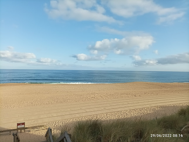 Paradice - Restauration