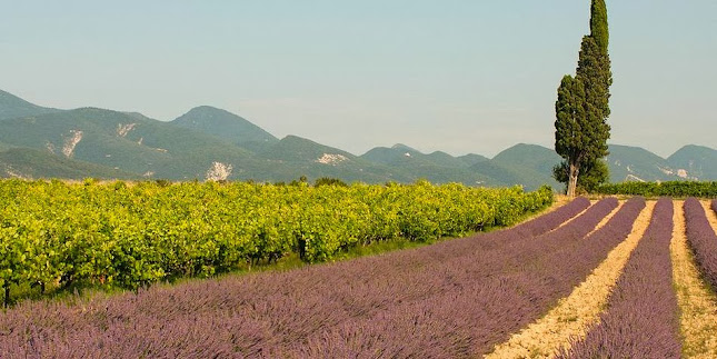 3035 Bd Frédéric Mistral, 26270 Loriol-sur-Drôme