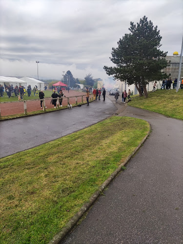 Comentarii opinii despre Boulangerie Patisserie Maison Toulorge des Provinces