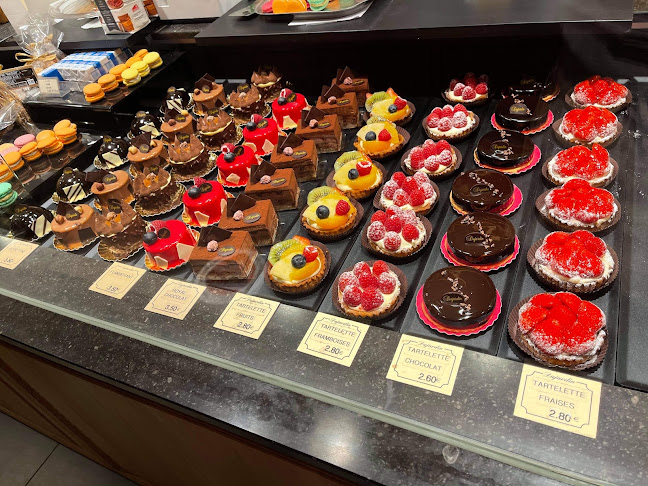 Comentarii opinii despre Painpotes