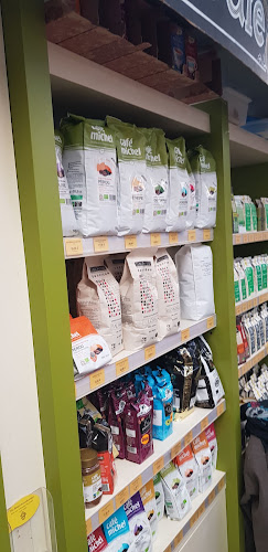 41 Rue du Marché, 59000 Lille