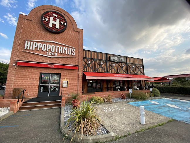 Hippopotamus - Blagnac