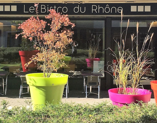 Comentarii opinii despre Le Bistro du Rhône
