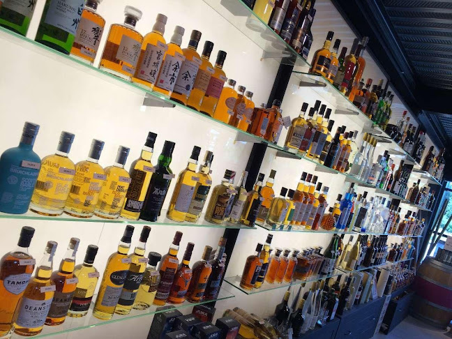 Opinii despre Le Relais Des Caves în Blois - Restauration