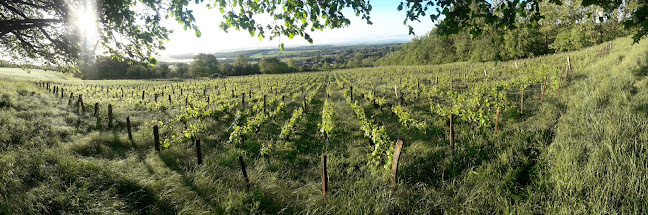 Opinii despre Domaine Enivrance în Forbach - Restauration