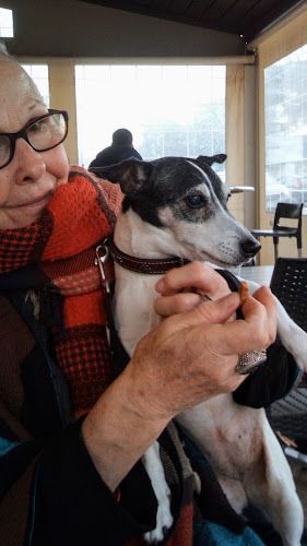 Comentarii opinii despre Bar Brasserie des Six Nations