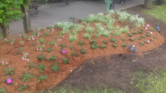 Opinii despre Lakshmi Chowk în Saint-Ouen-sur-Seine - Restauration