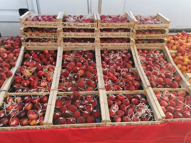 200 Av. des États-Unis, 31200 Toulouse, France