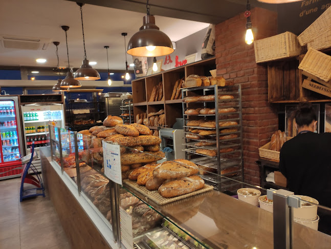 Comentarii opinii despre Maison Calvino