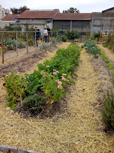 Pralus : Pâtissier Chocolatier, Manufacture à Roanne - Roanne
