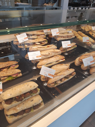 Comentarii opinii despre Patapain