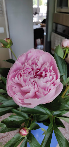 Comentarii opinii despre Chez Moi