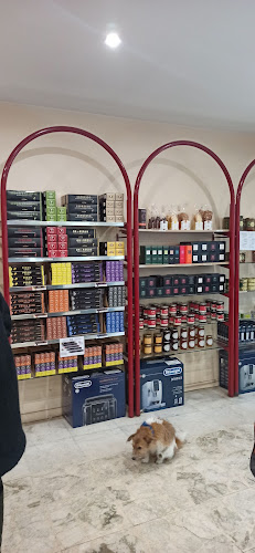 8 Cr Portal, 33000 Bordeaux