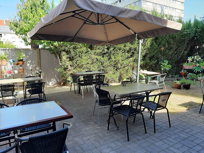 Comentarii opinii despre Le Pasa