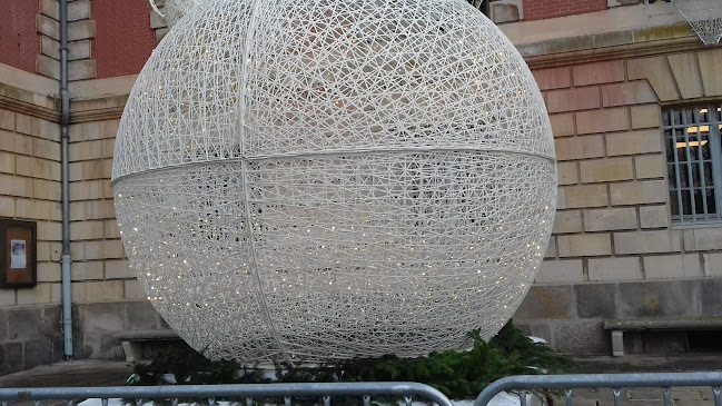 Comentarii opinii despre Le Lys