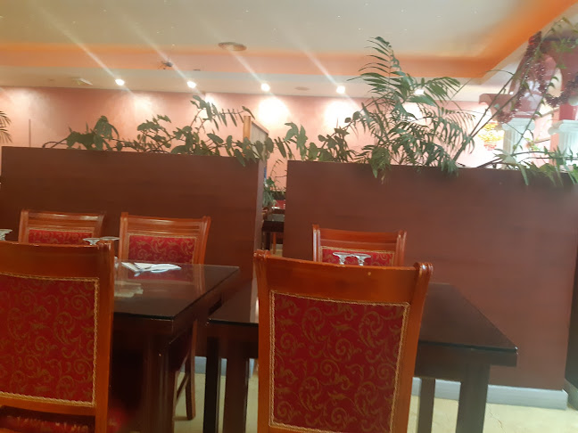 5 Av. Alfred Merle, 12100 Millau