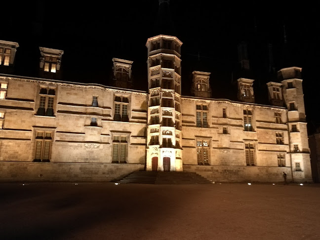 Comentarii opinii despre Le Florentin