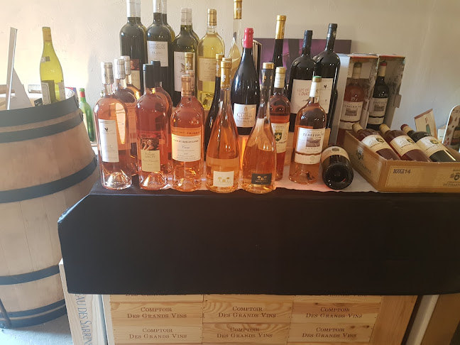 Comentarii opinii despre Comptoir des grands vins