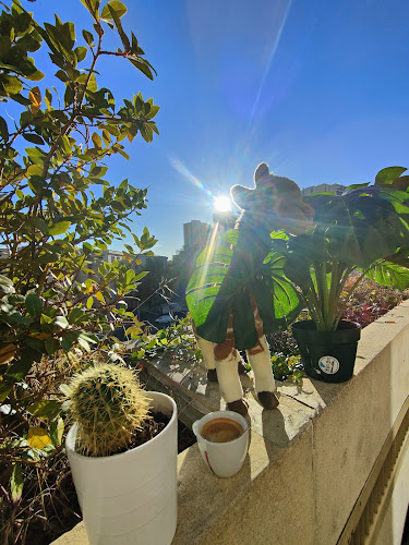 1 Pl. Paul Bec, 34000 Montpellier