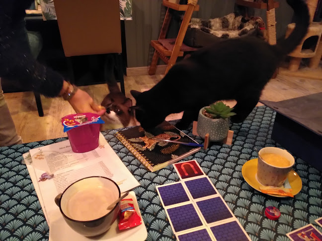 Opinii despre Chatperlipopette Café în Strasbourg - Restauration