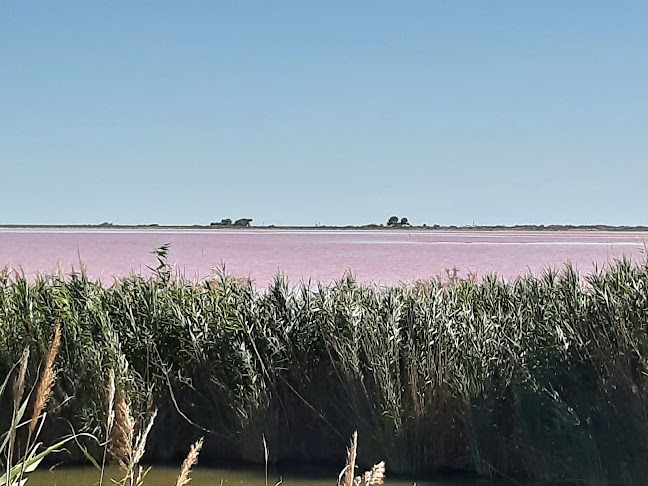 4 Rue Général Bruyère, 30250 Sommières