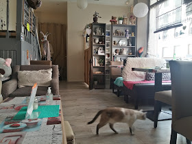 Chatperlipopette Café