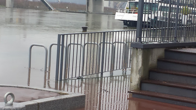 Comentarii opinii despre Papa Tom