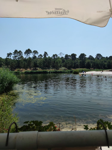 Comentarii opinii despre Fourchette et Sable Blanc