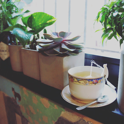 La Biche & Le Renard - Lille