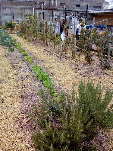 Comentarii opinii despre Pralus : Pâtissier Chocolatier, Manufacture à Roanne