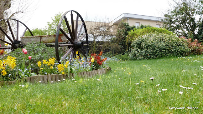 Pizza remy - Restauration