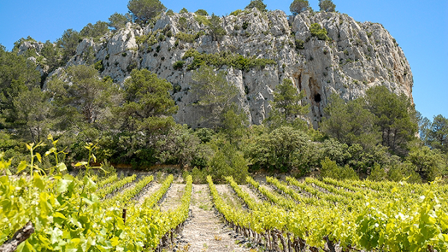 Cave de Gruissan