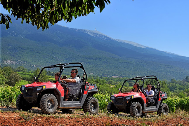 Opinii despre Cave VMV Les Vignerons Du Mont Ventoux în Cavaillon - Restauration