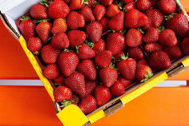 98 Av. de Choisy, 94190 Villeneuve-Saint-Georges