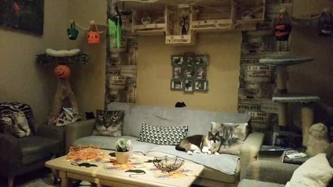 Chatperlipopette Café - Strasbourg