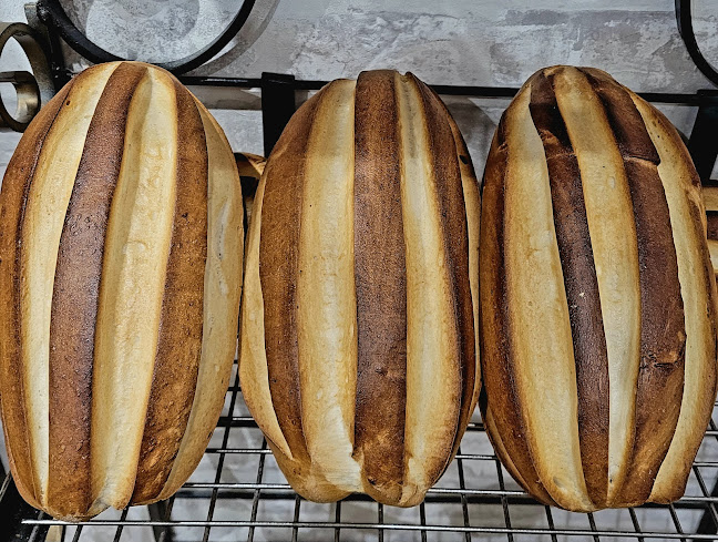 Opinii despre Hermier Pascal în Sotteville-lès-Rouen - Restauration