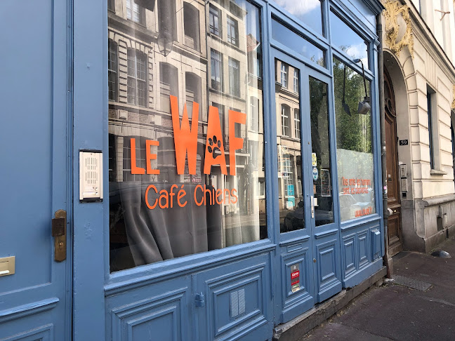 Comentarii opinii despre Le Waf