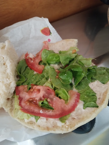 Comentarii opinii despre Painpotes