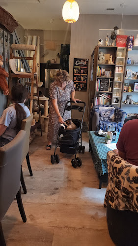 3 Rue de Lausanne, 67000 Strasbourg, France