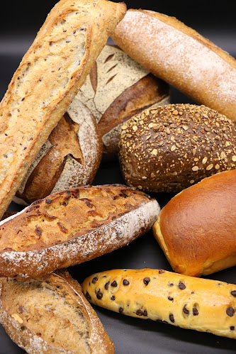 Comentarii opinii despre LEKLA