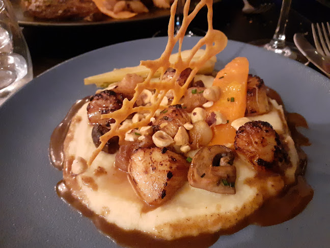 Opinii despre AOC 41 în Toulon - Restauration