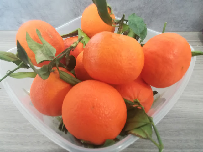 Comentarii opinii despre Ô Mix des Filles