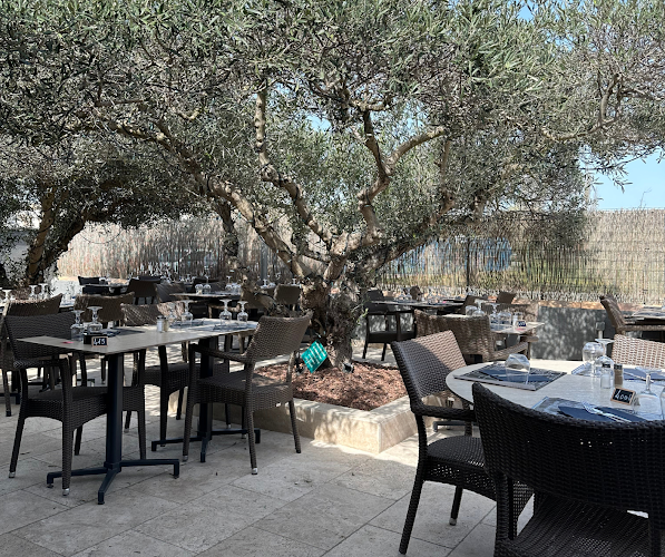 Le Clos des Oliviers, au Baïsses