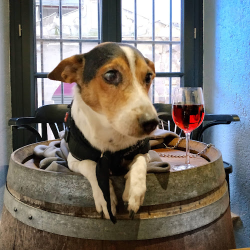 Opinii despre La P'tite Ardoise în Angers - Restauration